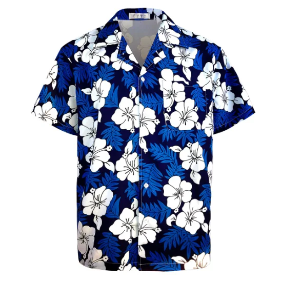 Mode d'été hommes chemise à manches courtes plage chemises minces Blouse hommes Style hawaïen chemise imprimée